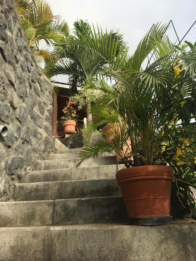 Villa Moai 974 Saint-Leu Eksteriør bilde